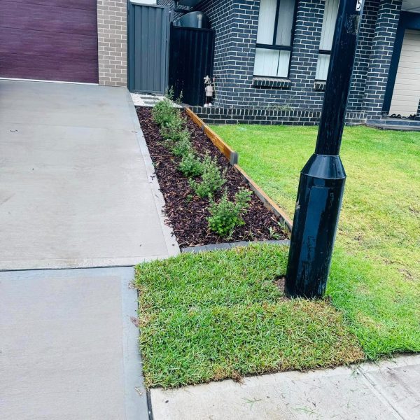 WhatsApp Image 2024-09-13 at 1.19.55 PM