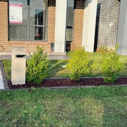 WhatsApp Image 2024-09-13 at 1.21.59 PM