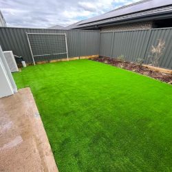 WhatsApp Image 2024-09-13 at 1.26.24 PM