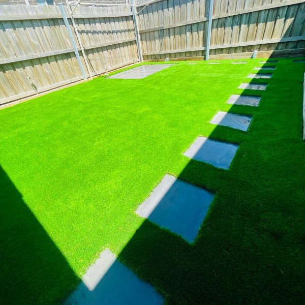 WhatsApp Image 2024-09-13 at 1.29.41 PM