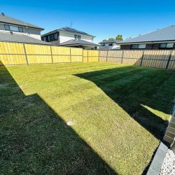 WhatsApp Image 2024-09-13 at 1.38.06 PM